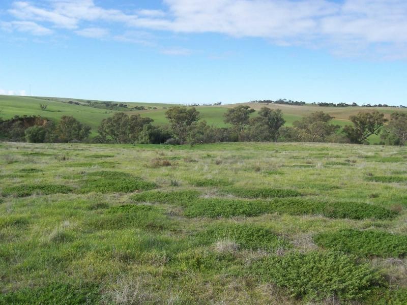 L5 Talbot Road, Crystal Brook SA 5523