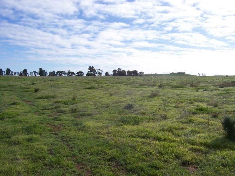 L5 Talbot Road, Crystal Brook SA 5523