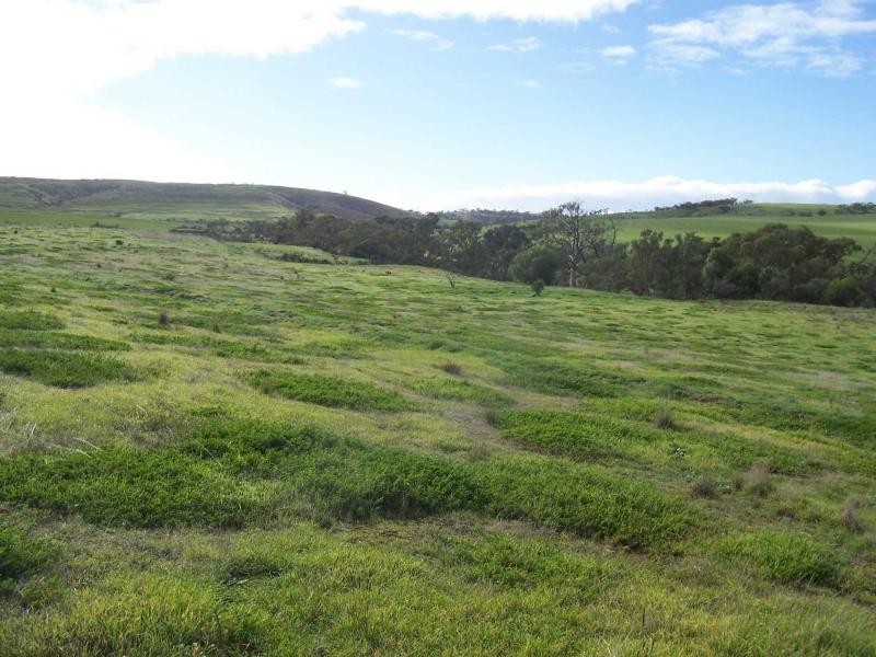 L11 John Street, Crystal Brook SA 5523