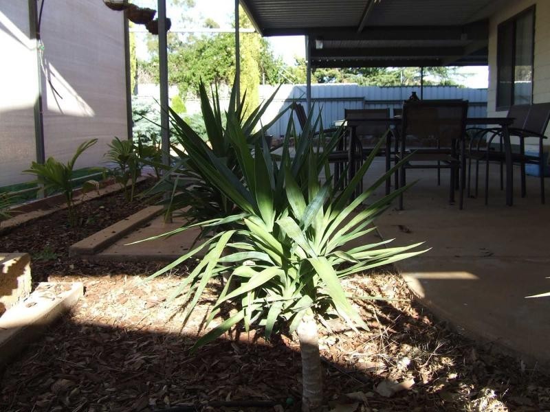 37 MERCOWIE ROAD, Crystal Brook SA 5523