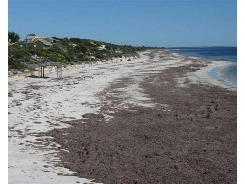 20 Ocean Parade, Balgowan SA 5573