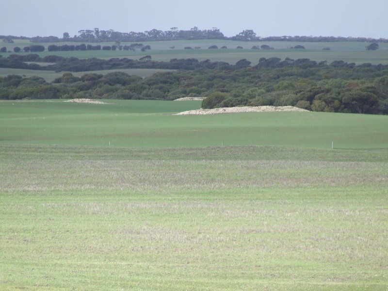 51 Lower White Hut Road, Corny Point SA 5575