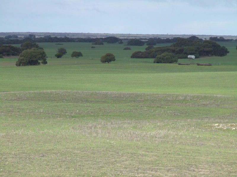 51 Lower White Hut Road, Corny Point SA 5575