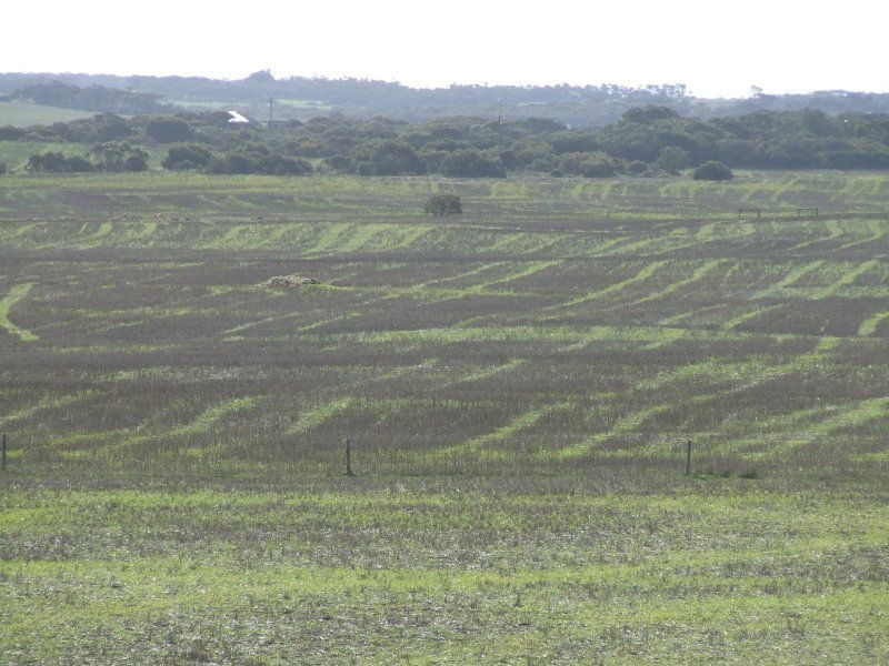 51 Lower White Hut Road, Corny Point SA 5575