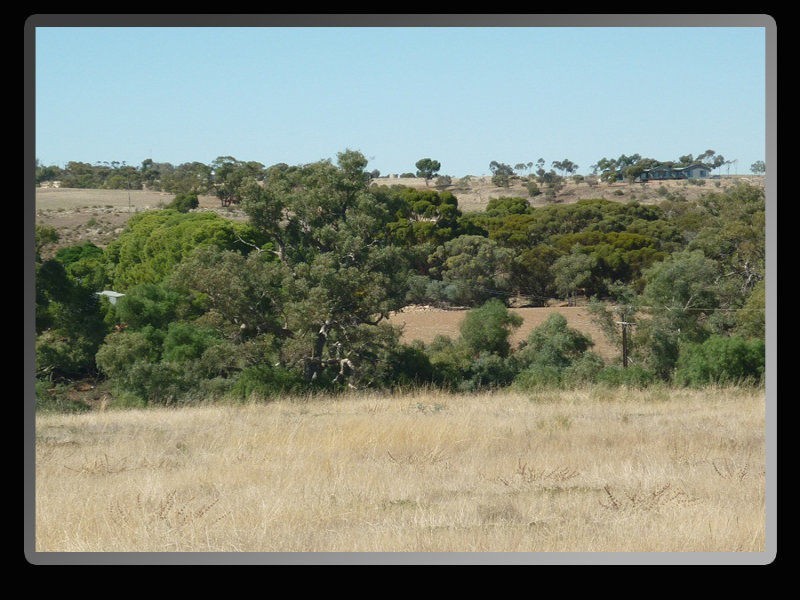 Lot 3,4,5… West Terrace, Crystal Brook SA 5523