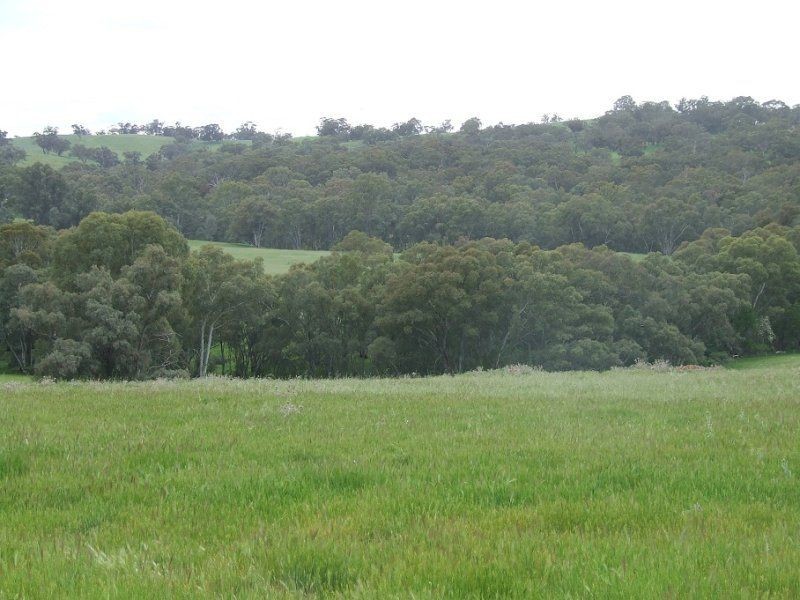 Section 33 Potts Road, Wirrabara SA 5481