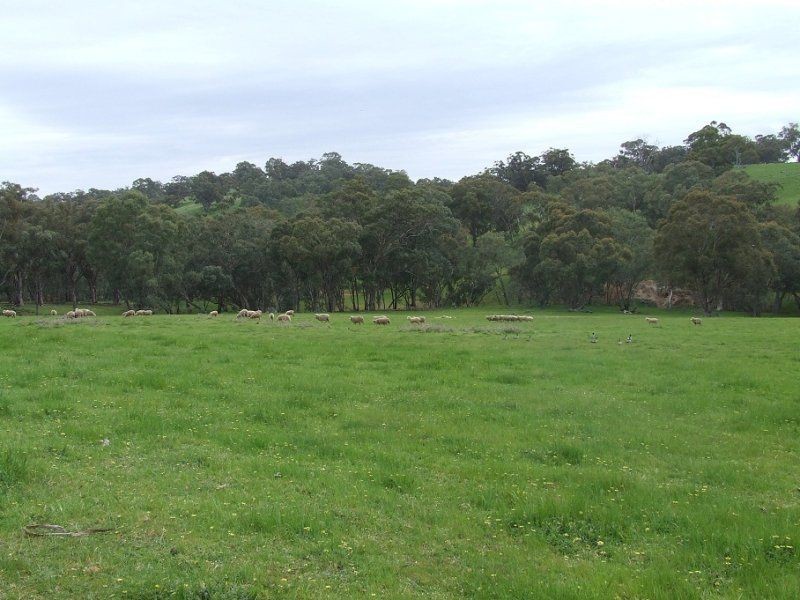 Section 33 Potts Road, Wirrabara SA 5481