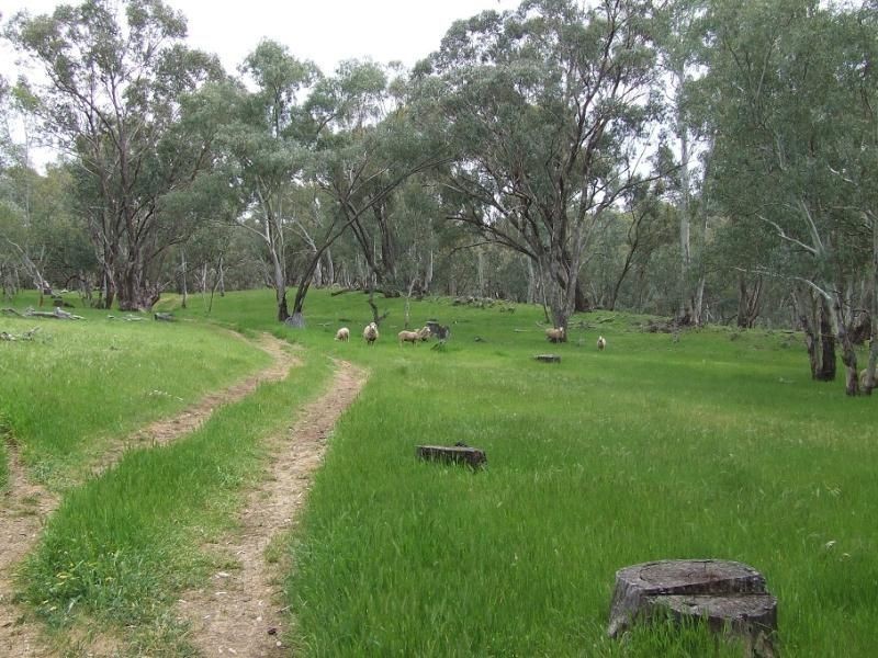 Section 33 Potts Road, Wirrabara SA 5481