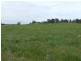Section 33 Potts Road, Wirrabara SA 5481