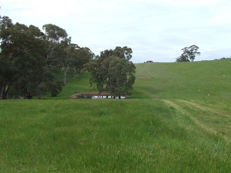 Section 33 Potts Road, Wirrabara SA 5481