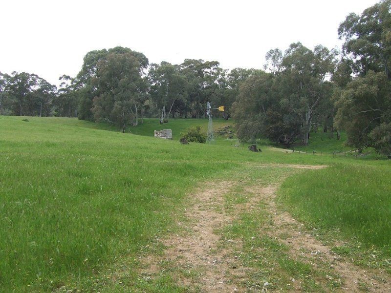 Section 33 Potts Road, Wirrabara SA 5481
