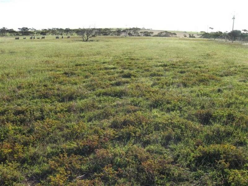 L2 Reliance Road, Price SA 5570