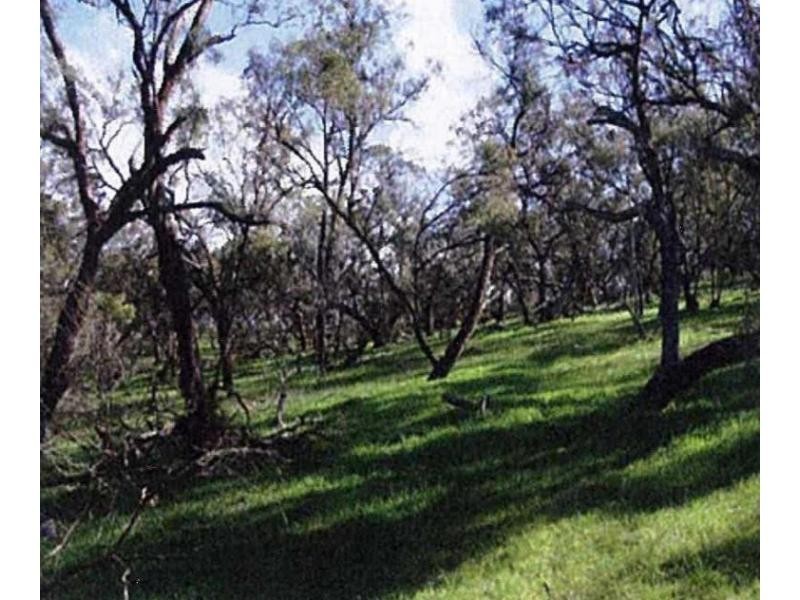 Lot 286 Yandiah road, Wirrabara SA 5481