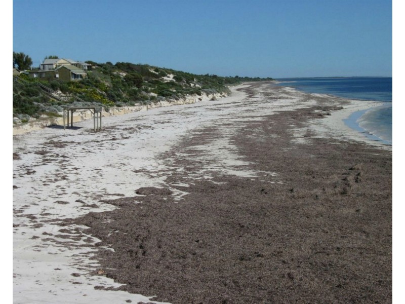 10 Gulf Drive, Balgowan SA 5573