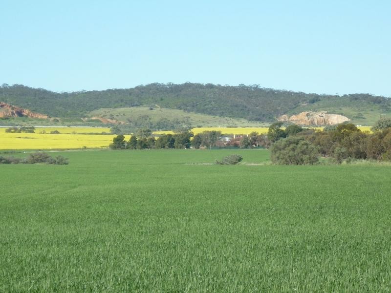 531 Church Road, Warnertown SA 5540