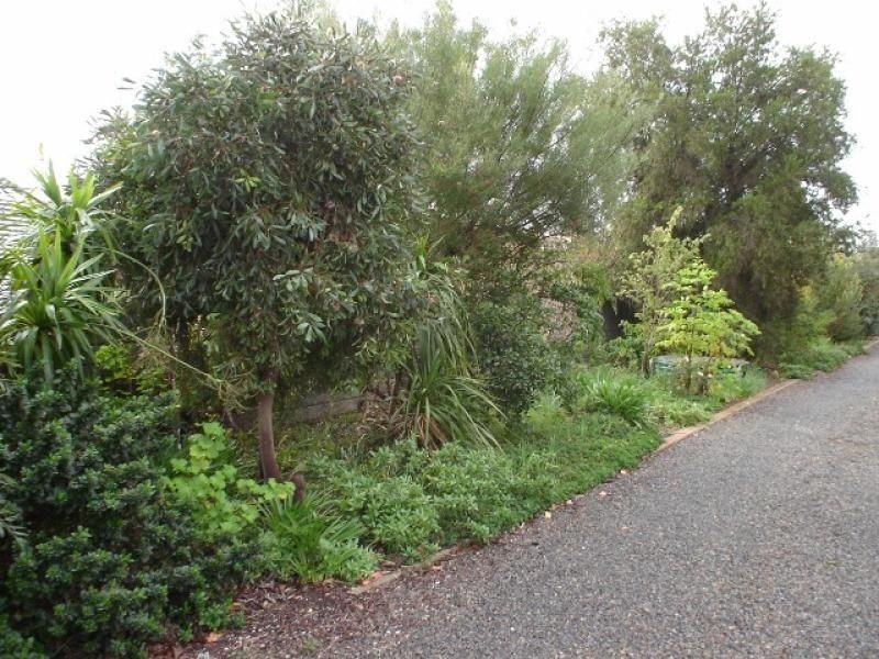 L49 Edwin Street, Booleroo Centre SA 5482