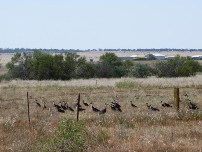 1 Main Street, Terowie SA 5421