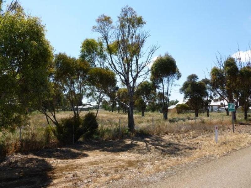 1 Main Street, Terowie SA 5421