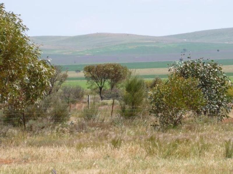 Lot 89 & 90 West Terrace, Whyte Yarcowie SA 5420