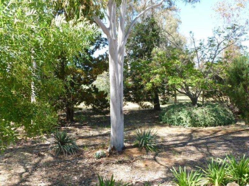 30 Murray Street, Stone Hut SA 5480