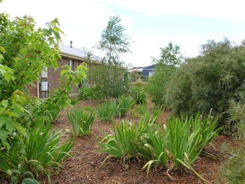 43 Boucaut Road, Jamestown SA 5491