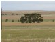 277 Old Reservoir Road, Canowie Belt, Jamestown SA 5491