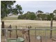 277 Old Reservoir Road, Canowie Belt, Jamestown SA 5491