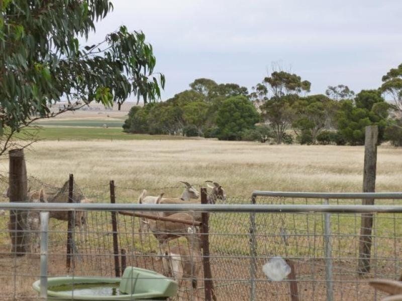 277 Old Reservoir Road, Canowie Belt, Jamestown SA 5491