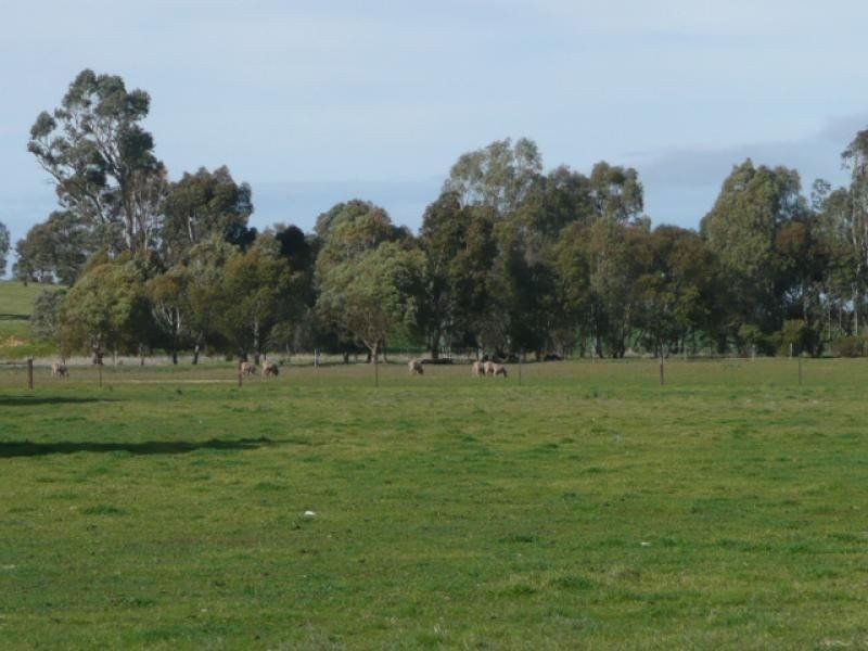 L25 South Terrace, Jamestown SA 5491