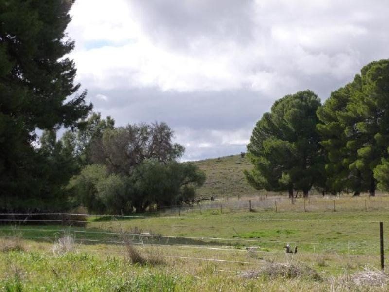 5/L8-18 Mannanarie Road, Jamestown SA 5491