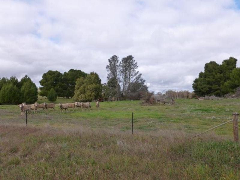 5/L8-18 Mannanarie Road, Jamestown SA 5491