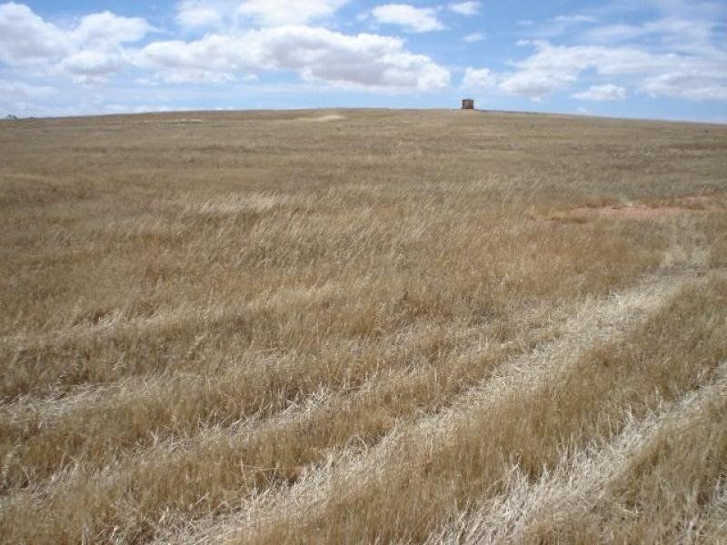 Lot 470, 471, 461 & 721 Appila Road, Appila SA 5480