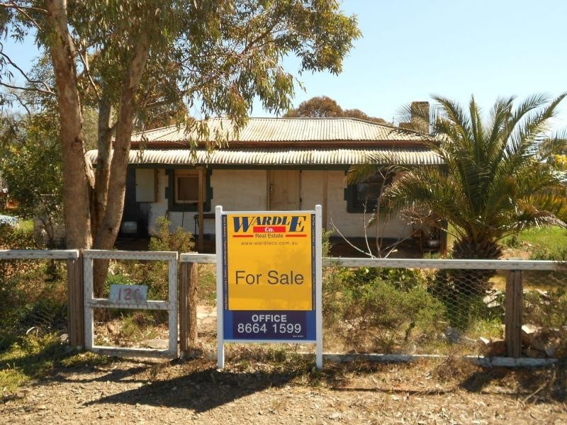 L128 Mitchell Street, Terowie SA 5421