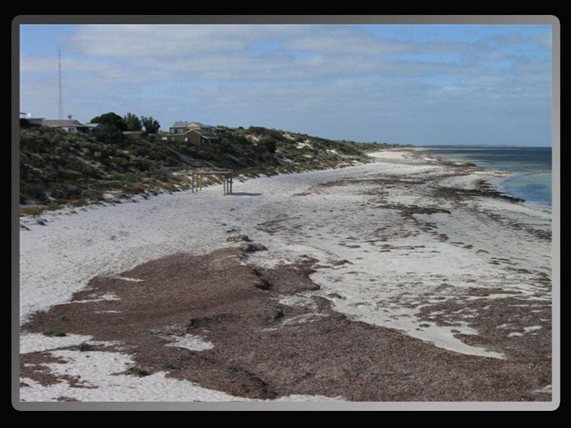 16 Main Street, Balgowan SA 5573