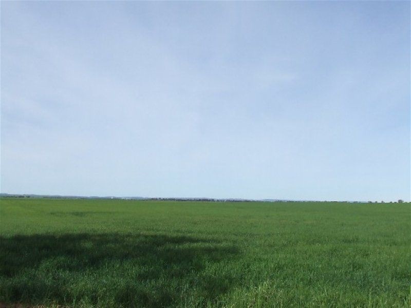 Lot 2 Koolunga Road, Snowtown SA 5520