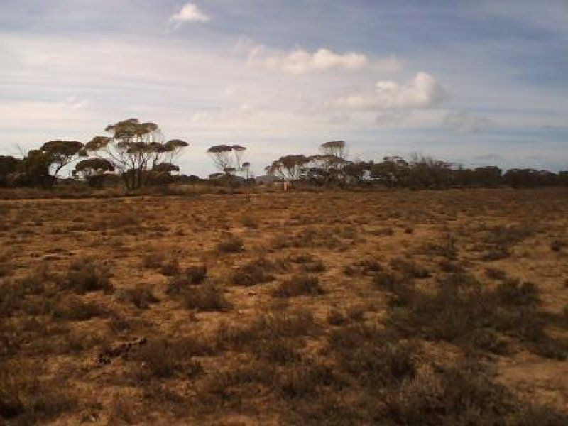 Lot 227 Schumann Road, Cowell SA 5602