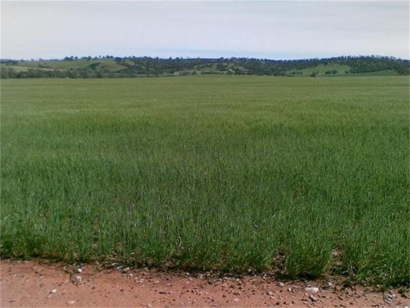 Lot 256 Public Road, Wirrabara SA 5481