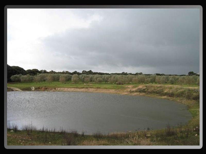 Lot 3 & 4 South Terrace, Maitland SA 5573