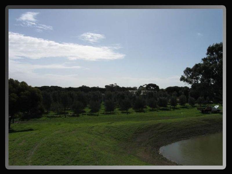 Lot 3 & 4 South Terrace, Maitland SA 5573