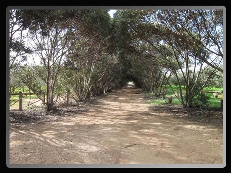 Lot 3 & 4 South Terrace, Maitland SA 5573