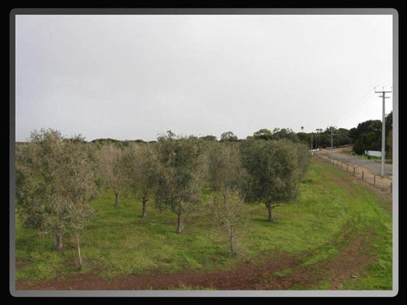 Lot 3 & 4 South Terrace, Maitland SA 5573