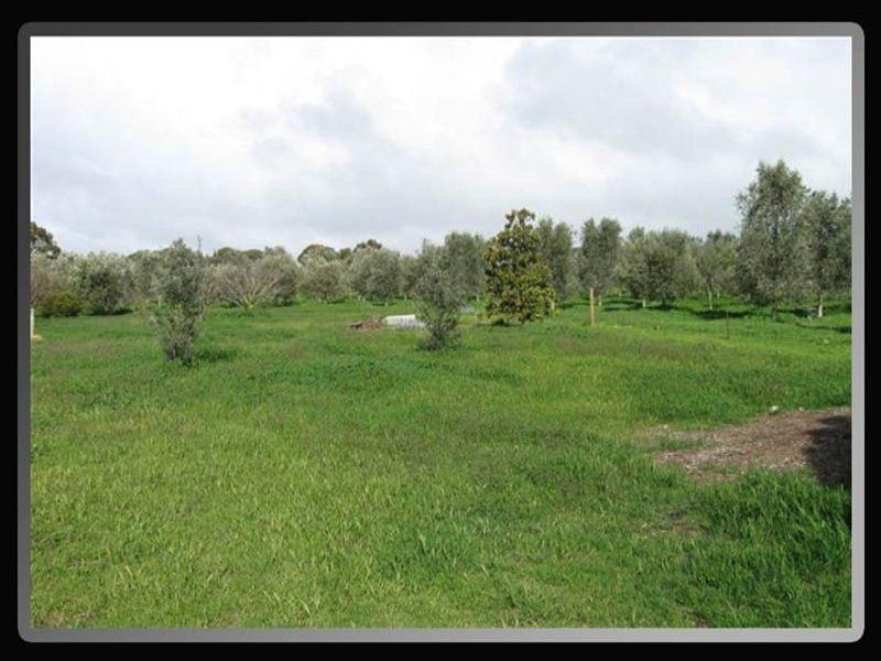 Lot 3 & 4 South Terrace, Maitland SA 5573