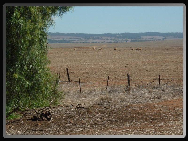 Lot 301 Gladstone – Pirie Road, Gladstone SA 5473