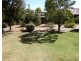 16 Bute Street, Jamestown SA 5491