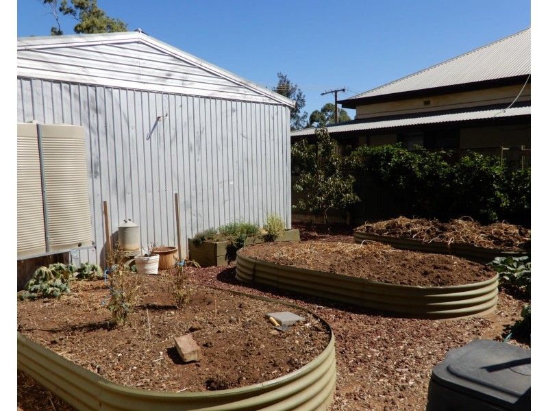 16 Bute Street, Jamestown SA 5491