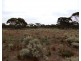 Oodla Wirra SA 5422