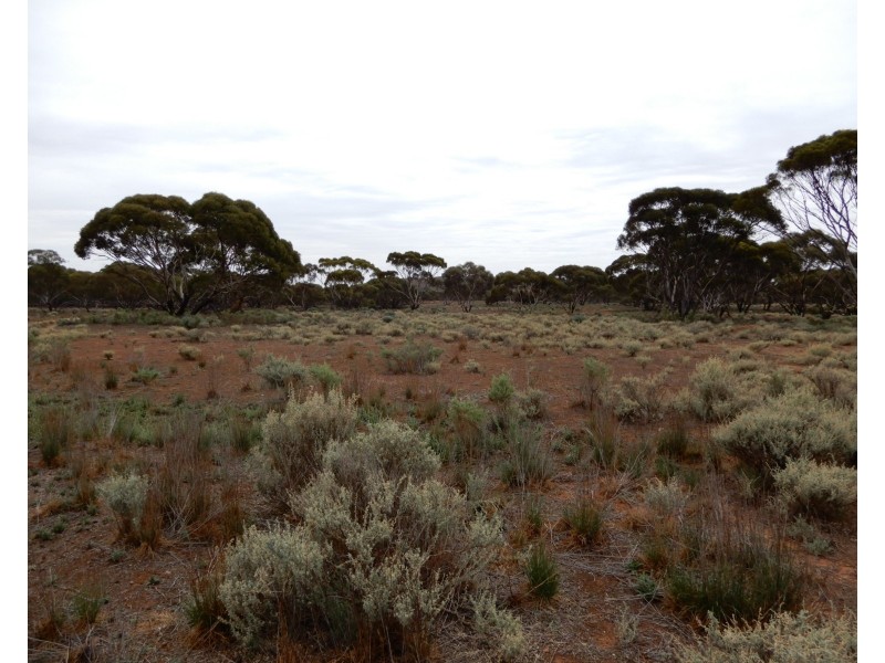 Oodla Wirra SA 5422