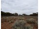 Oodla Wirra SA 5422