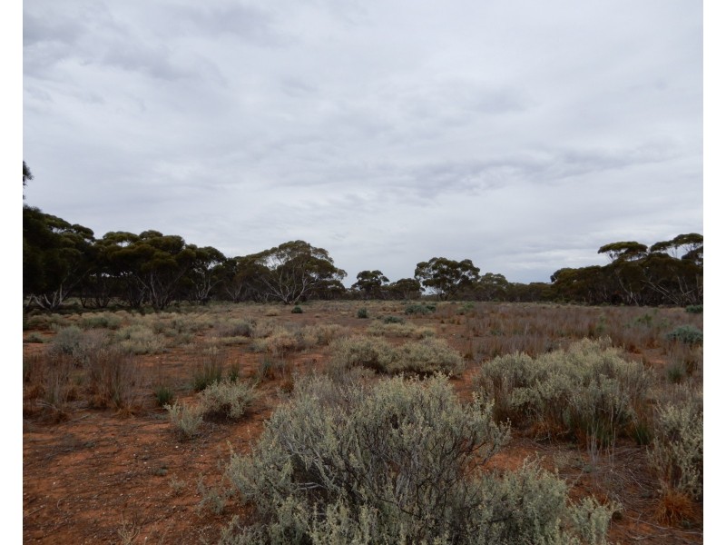 Oodla Wirra SA 5422