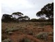 Oodla Wirra SA 5422